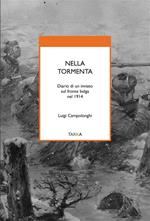 Nella tormenta. Diario di un inviato sul fronte belga nel 1914