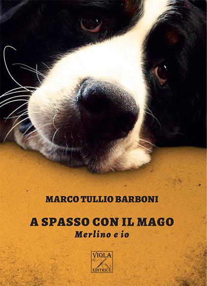 A spasso con il mago. Merlino e io - Marco Tullio Barboni - copertina