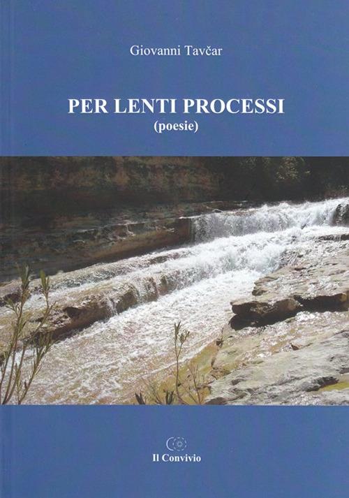 Per lenti processi - Giovanni Tavcar - copertina