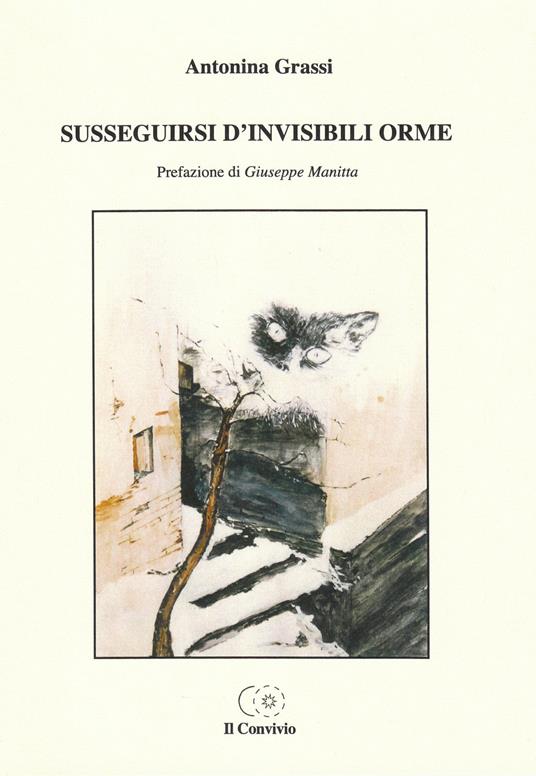 Susseguirsi d'invisibili orme - Antonina Grassi - copertina