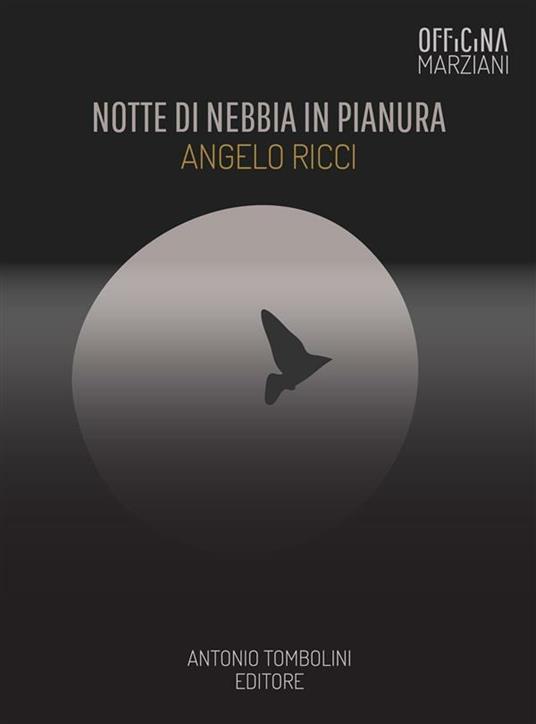 Notte di nebbia in pianura - Angelo Ricci - ebook