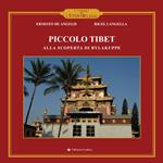 Piccolo Tibet. Alla scoperta di Bylakuppe