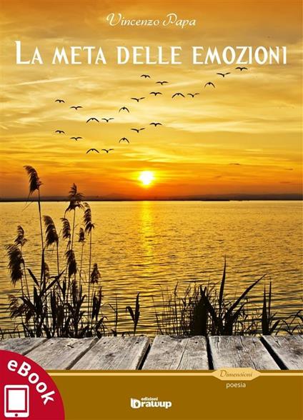 La meta delle emozioni e Il mare dei sentimenti - Giulia Caridi,Vincenzo Papa - ebook