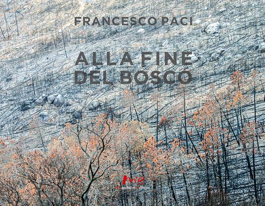 Alla fine del bosco - Francesco Paci - copertina