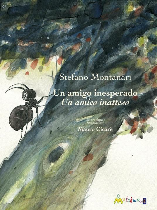 Un amigo inesperado-Un amico inatteso - Stefano Montanari - copertina