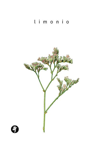 Limonio - Antonio Lillo - copertina