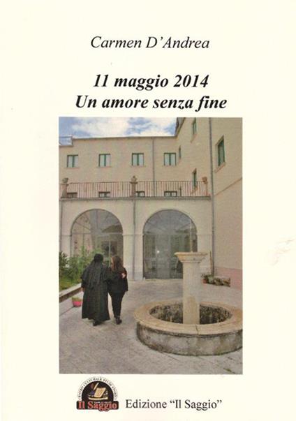 11 maggio 2014. Un amore senza fine - Carmen D'Andrea - copertina