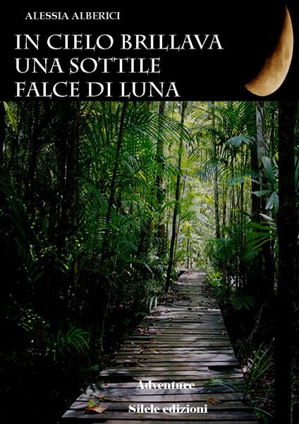 In cielo brillava una sottile falce di luna - Alessia Alberici - copertina