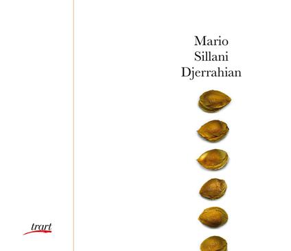 Mario Sillani Djerrahian. Ediz. italiana e inglese - copertina