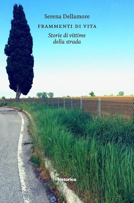 Frammenti di vita. Storia di vittime della strada - Serena Dellamore - copertina