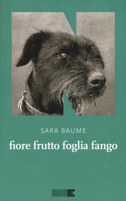 Fiore frutto foglia fango - Sara Baume - Libro - NN Editore - La stagione |  IBS