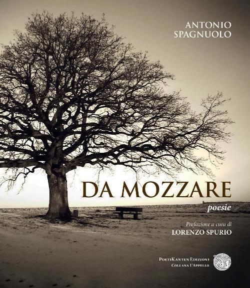 Da mozzare - Antonio Spagnuolo - copertina