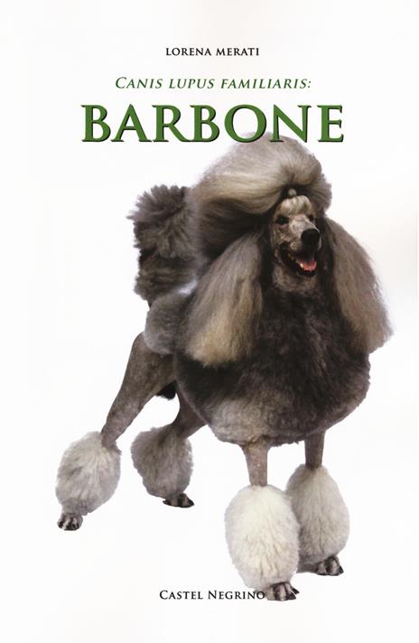 Barbone - Lorena Merati - copertina