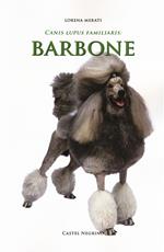 Barbone