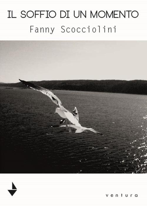 Il soffio di un momento - Fanny Scocciolini - copertina