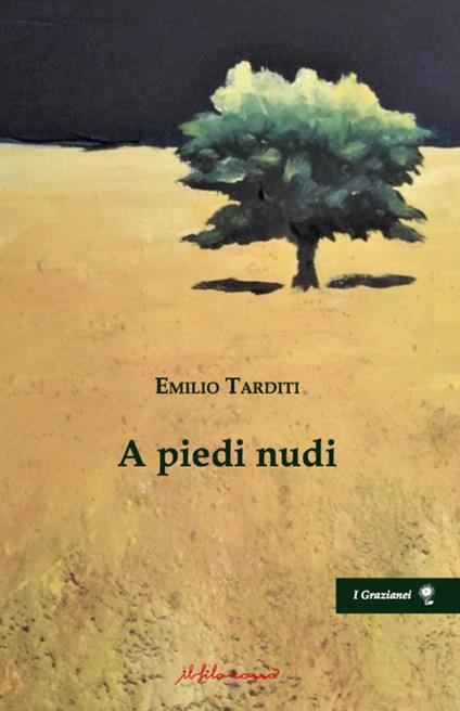 A piedi nudi - Enzo Ferraro - copertina