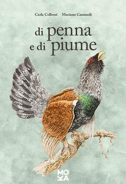 Di penna e di piume - Carla Collesei - copertina