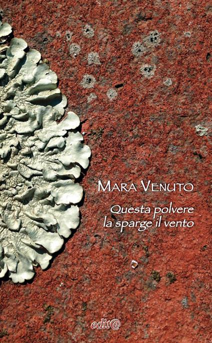 Questa polvere la sparge il vento - Mara Venuto - copertina