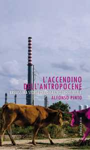 L'accendino dell'Antropocene. Brevissima storia del disastro industriale