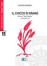 Il chicco di grano. Storie di «santi giovani» in mezzo a noi