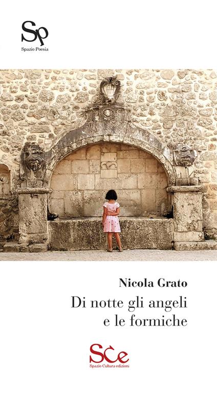 Di notte gli angeli e le formiche - Nicola Grato - copertina