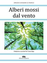  Alberi mossi dal vento