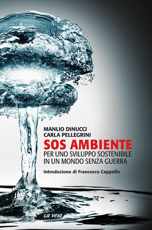SOS ambiente. Per uno sviluppo sostenibile in un mondo senza guerra - Manlio  Dinucci - Carla Pellegrini - - Libro - La Vela (Viareggio) - Percorsi | IBS