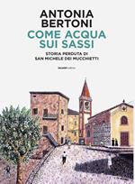 Come acqua sui sassi. Storia perduta di San Michele