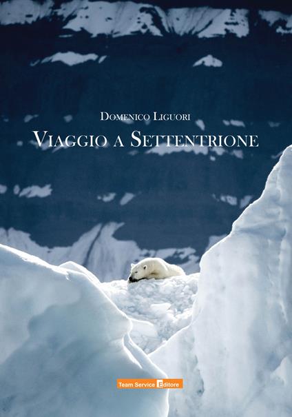 Viaggio a settentrione - Domenico Liguori - copertina