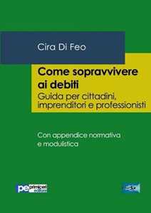 Come sopravvivere ai debiti. Guida per cittadini, imprenditori e professionisti