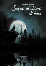 Sogno al chiaro di luna