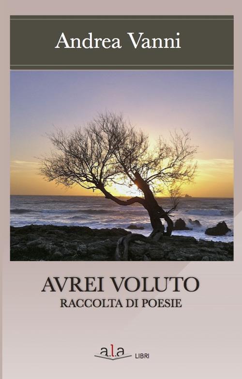 Avrei voluto - Andrea Vanni - copertina