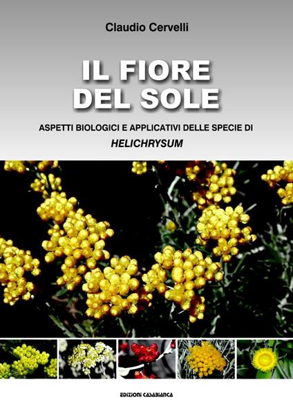 Il fiore del sole. Aspetti biologici e applicativi delle specie di Helichrysum - Claudio Cervelli - copertina