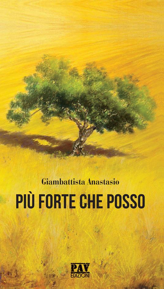 Più forte che posso - Giambattista Anastasio - copertina