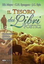 Il tesoro dei libri poetici. Meditazioni bibliche quotidiane