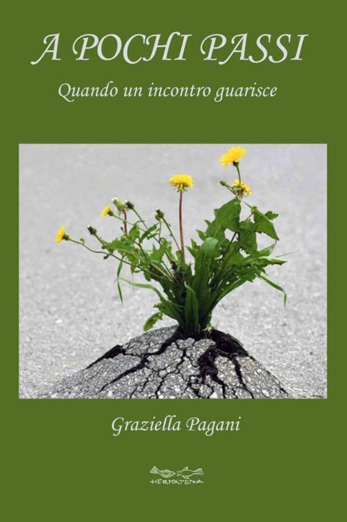 A pochi passi. Quando un incontro guarisce - Graziella Pagani - copertina