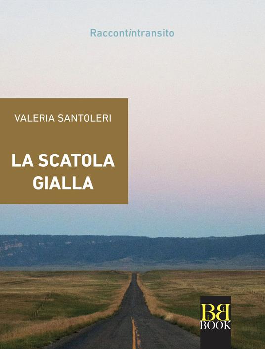 La scatola gialla - Valeria Santoleri - copertina