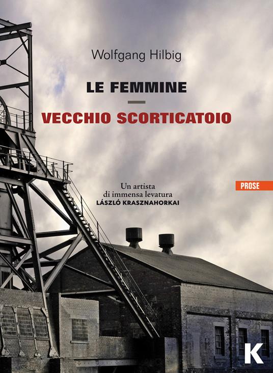 Le femmine. Vecchio scorticatoio - Wolfgang Hilbig - copertina