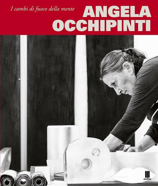 Angela Occhipinti. I cambi di fuoco della mente. Ediz. bilingue - Flavio Fergonzi - copertina