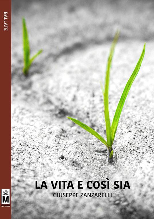 La vita e così sia - Giuseppe Zanzarelli - copertina