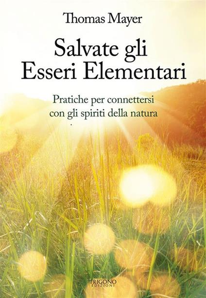 Salvate gli essere elementari. Pratiche per connettersi con gli spiriti della natura - Thomas Mayer - ebook