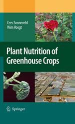 Plant Nutrition of Greenhouse Crops