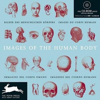 Images of the human body. Ediz. multilingue. Con CD-ROM - copertina