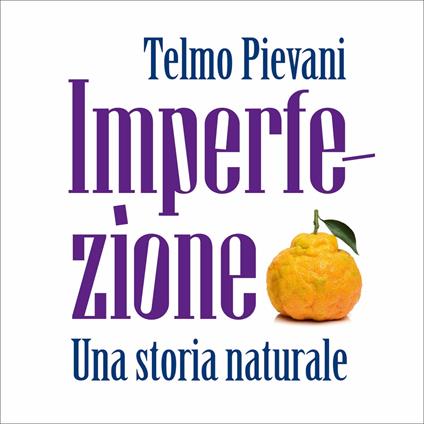 Imperfezione