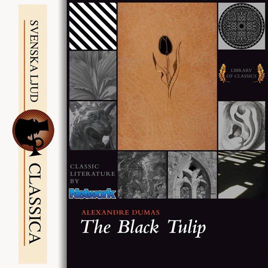 The Black Tulip