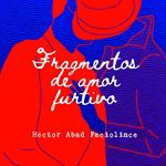 Fragmentos de amor furtivo