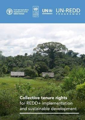 Collective tenure rights for REDD+ implementation and sustainable development - Amanda Bradley,Food and Agriculture Organization,Serena Fortuna - cover