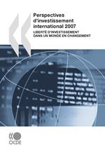 Perspectives d'investissement international 2007