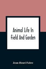 Animal Life In Field And Garden