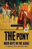 The Pony Rider Boys In The Alkali; Or, Finding A Key to the Desert Maze - Frank Gee Patchin - cover